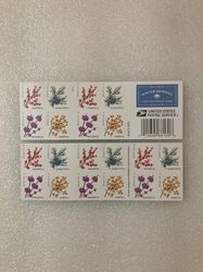 booklet of 20 usps four winter berries self-adhesive forever stamp
