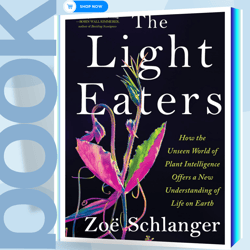 the light eaters how the unseen world of plant intelligence offers a new understanding of life on earth