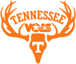 tennessee volunteers svg, tennessee vols ncaa svg, sport svg, ncaa logo svg, football svg, digital download 1