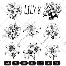 lily flower svg, lily svg bundle, lily set svg, hand drawn lily svg, flwer bouquet svg, floral svg, flower wedding