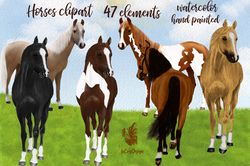 watercolor horse clipart graphic png, watercolor horse, horse clipart