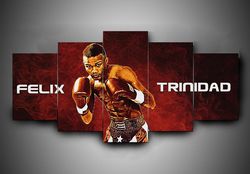 boxing  flix trinidad  sport 5 panel canvas art wall decor