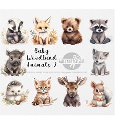 baby woodland animals clipart, baby woodland animals png,