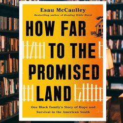 how far to the promised land: one black family's story of hope and survival in the american south