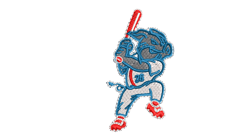 embroidery baseball team logo 5
