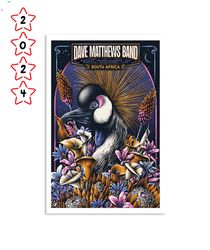 dave matthews band dec 10 2023 cape town south africa poster