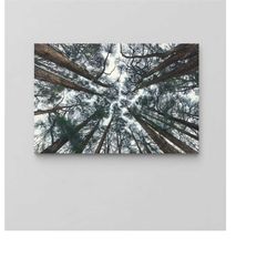 forest tree print canvas / nature art canvas / bohemian style wall decor / tree wall art / large wall art / oversize fra