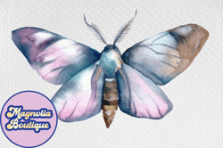 watercolor clipart. moth boho butterfly design 101
