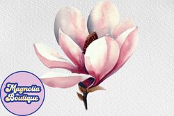 watercolor magnolia flower clipart png design 103