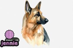 german shepherd watercolor dog clipart design 98