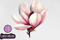 watercolor magnolia flower clipart png design 103