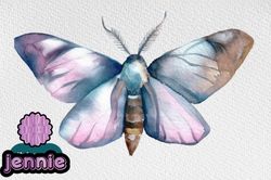 watercolor clipart. moth boho butterfly design 101