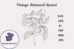 vintage botanical line drawing clipart design 168