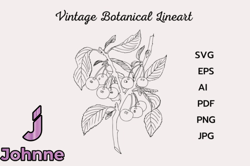 vintage botanical line drawing clipart design 168