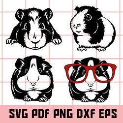 guinea pig svg, guinea pig eps, guinea pig dxf, guinea pig clipart, guinea pig vector, guinea pig cricut, guinea pig