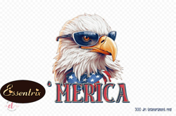 4th of july sublimation - merica png design 64