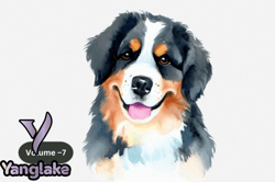 bernese mountain dog watercolor clipart design 99