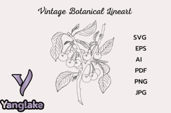 vintage botanical line drawing clipart design 168