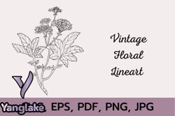 vintage floral line art design 173