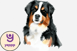 bernese mountain dog watercolor clipart design 100