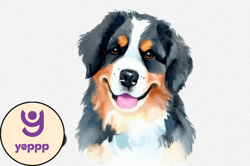 bernese mountain dog watercolor clipart design 99