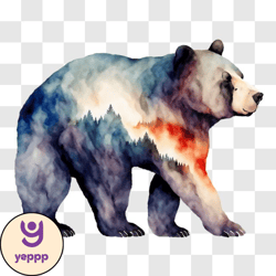 vibrant bear painting with colorful background png design 256