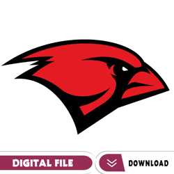 incarnate word cardinals svg, football team svg, basketball, collage, game day, football, instant download