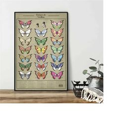 butterfly poster, vintage butterfly print, botanical butterfly poster