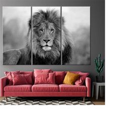 lion wall art, lion photo print, lion canvas,