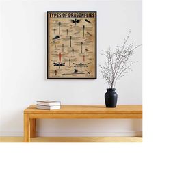 types of dragonflies poster, dragonfly lover gift, dragonfly