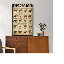 types of deer poster, deer lover gift, all