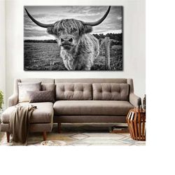 highland cow canvas print - highland cattle wall