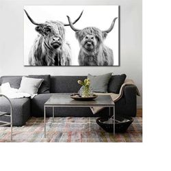 scottish highland cattle canvas print - scottish highland