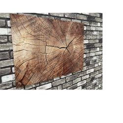 wood texture wall art, canvas wall art, wood crack canvas, tree ring wall art, framed canvas, living room decor, large c