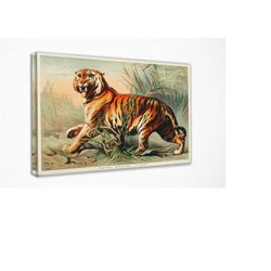 john karst royal bengal tiger, canvas wall art