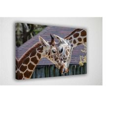 giraffe in love, canvas wall art print |