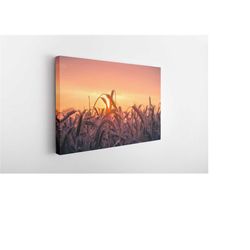 sunset among the plants, canvas wall art print