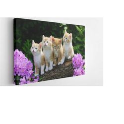 tiny baby cats, canvas wall art print |