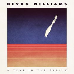 devon williams (tear in the fabric) album cover poster