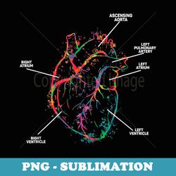 parts of heart cardiology anatomical cardiac - png transparent sublimation design