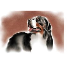 bernese mountain dog print on canvas