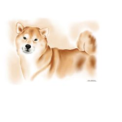 shiba inu watercolor print on canvas