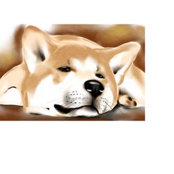 akita inu watercolor print on canvas