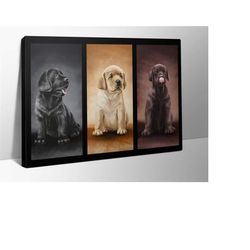 labrador retriever all colors print on canvas