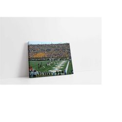 missouri tigers canvas | faurot field wall art | american football stadium poster | nfl ncaa print | sport canvas | livi