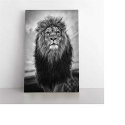 lion canvas, black & white lion canvas, animal canvas, canvas, canvas print,canvas painting, canvas art, canvas painting