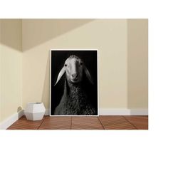 sheep photography wall art / framed black and white country print / black and white, vintage photography / rustic farmho