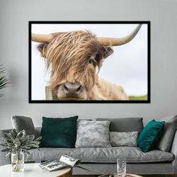 highland cow canvas wall art canvas art highland cow prints cow poster highland cow wall art cow painting canvas paintin