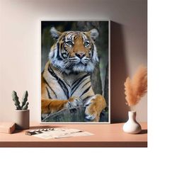 close up photography of tiger poster, canvas prints