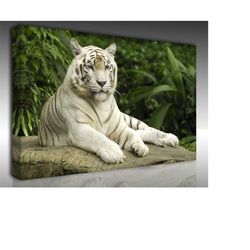 tiger photo print art,tiger poster wall art canvas